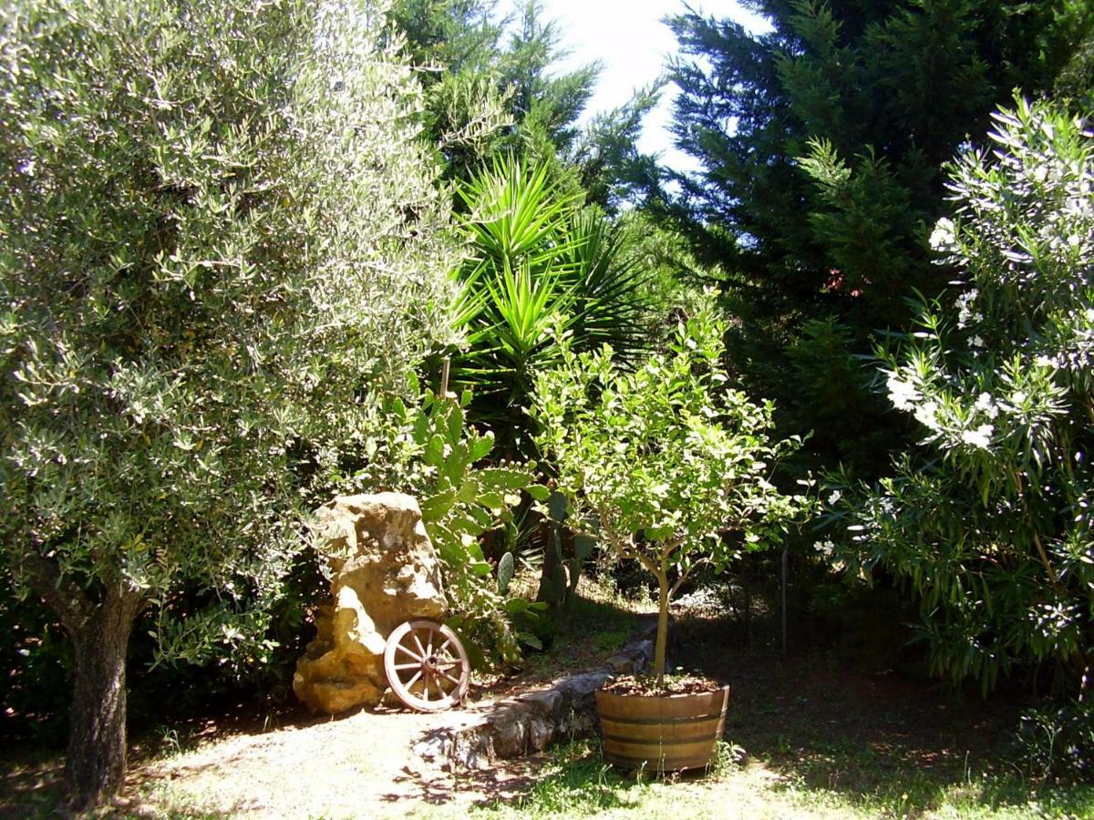 Podere Belvedere Cecina Cecina  Exteriör bild