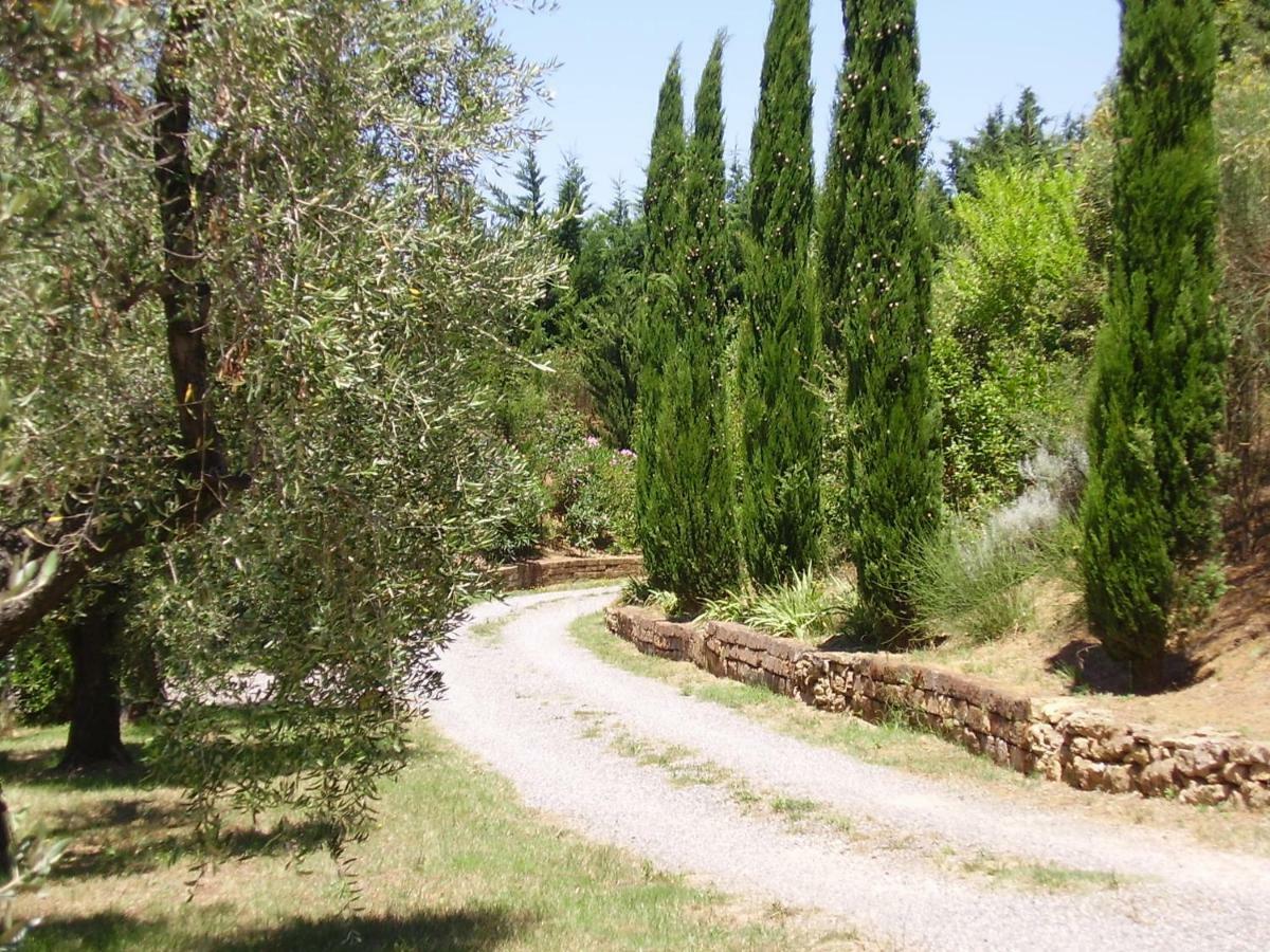 Podere Belvedere Cecina Cecina  Exteriör bild