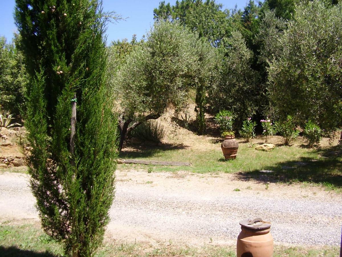 Podere Belvedere Cecina Cecina  Exteriör bild